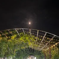 برگزاری مراسمات شما|خدمات پذیرایی، مراسم|فردیس, شهرک ناز|دیوار