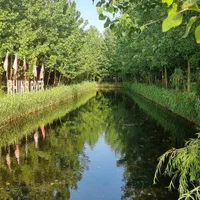 ویلا باغ چوبی/ در بهشت گمشده ایران|فروش خانه و ویلا|اسلامشهر, شهرک احمدیه|دیوار