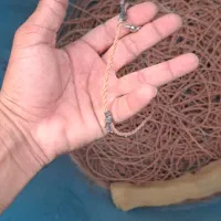 تند کلو زیر آبی|ماهیگیری|کنارک, |دیوار