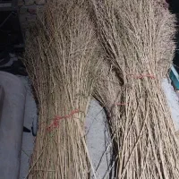 فروش جارو شهرداری و فراشی دسته بلند