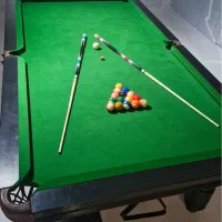 بیلیارد حرفه ای