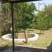 باغچه ۴۵۰ متری|فروش خانه و ویلا|زیباکنار, |دیوار