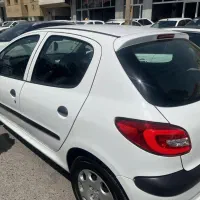 206 تمیز خونگی
