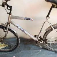 آساک 2002تنه بزرگ26
