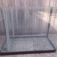 آکواریوم|ماهی|شیراز, پودنک|دیوار
