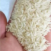 برنج فجر ایرانی