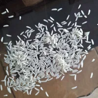 برنج طارم خوش طعم|عمده‌فروشی|سنگدوین, |دیوار