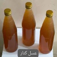 عسل کوهی کنار درجه ۱ منطقه گیاوان سیریک