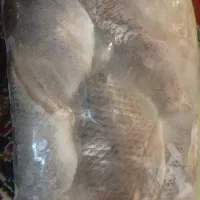 ماهی|ماهی|یزد, |دیوار