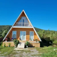 کلبه سوئیسی میشین بی تم