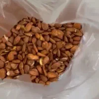 تخمه بو داده کم نمک و مغز بادام خانگی عمده و خرده|خوردنی و آشامیدنی|اصفهان, بهارستان|دیوار