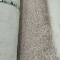 موکت