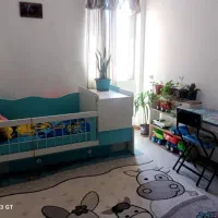 فرش 6 متری|فرش|رشت, کوی جام جم|دیوار