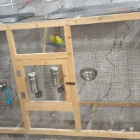 قفس چوبی بزرگ به همراه لونه سفالی و دون خوری