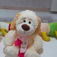 تعدادی عروسک نو خارجی جنس اصل وباکیفیت|اسباببازی بچه|بروجرد, |دیوار