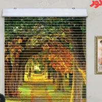 شکاری ۵ونیم