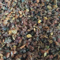 کشمش بیدانه سرکه ای|خوردنی و آشامیدنی|تاکستان, |دیوار