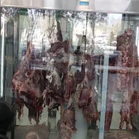 گوشت تازه|خوردنی و آشامیدنی|ورامین, خیر آباد|دیوار