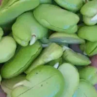 خوردنی واشامیدنی