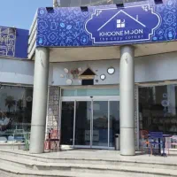 استخدام