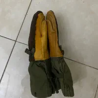 دستکش قطبی امریکایی