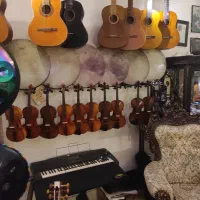 ویلن های دست ساز