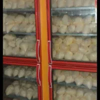 پودرزعفرون دونه ۱۲تومان ۲۵گرم