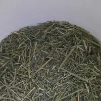 معرفی کار کنید