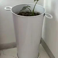 گلدان سفید ارتفاع 180