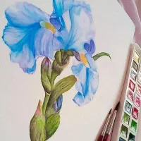 تابلو نقاشی آبرنگ|تابلو، نقاشی، عکس|تهران, تولید دارو|دیوار