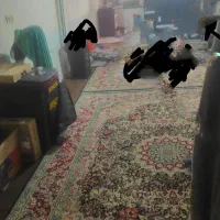 رهن کامل پیلت