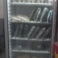 فریزر هفتاد سانتی فروشگاهی