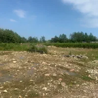 شهرک کتی|فروش زمین و ملک کلنگی|نوشهر, |دیوار