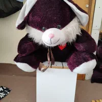 یک خرس عروسکی در حد نو به فروش میرسد