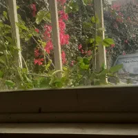 فروش اپارتمان ۹۰متری طبقه اول