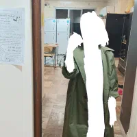 بارونی سبز بلند