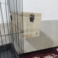 قفس پرنده به همراه پایه چرخدار(نو)|لوازم جانبی حیوانات|سبزوار, چهارراه فرودگاه|دیوار