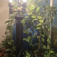 اباژور ایستاده