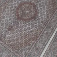 کرم قهوه‌ای رنگش روشن بافت خودم|فرش|ارومیه, |دیوار