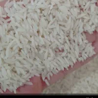 فروش فوری برنج طارم کشت دوم