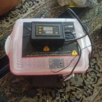 دستگاه جوجه کشی قیمت مناسب