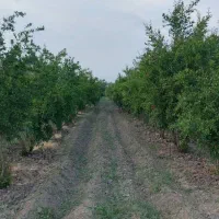 زمین ۳۷۶ متری ویلاشهر دانشجو