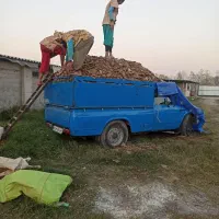 کود مرغی|خدمات باغبانی و درختکاری|کیاکلا, |دیوار