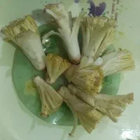 کنگر تازه تازه