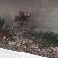 اکواریوم بزرگ (فروش فوری)|ماهی|رشت, استقامت ۱|دیوار