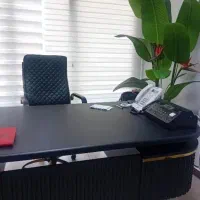 نگهداری از سالمند