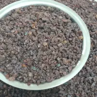 کشمش آفتابی سالم گوشتی