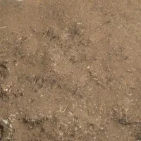 کود گوسفندی کهنه رابر