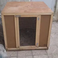 قفس لاری|لوازم جانبی حیوانات|تبریز, |دیوار