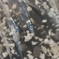 آکواریوم شرکتی|ماهی|ری, امین آباد|دیوار